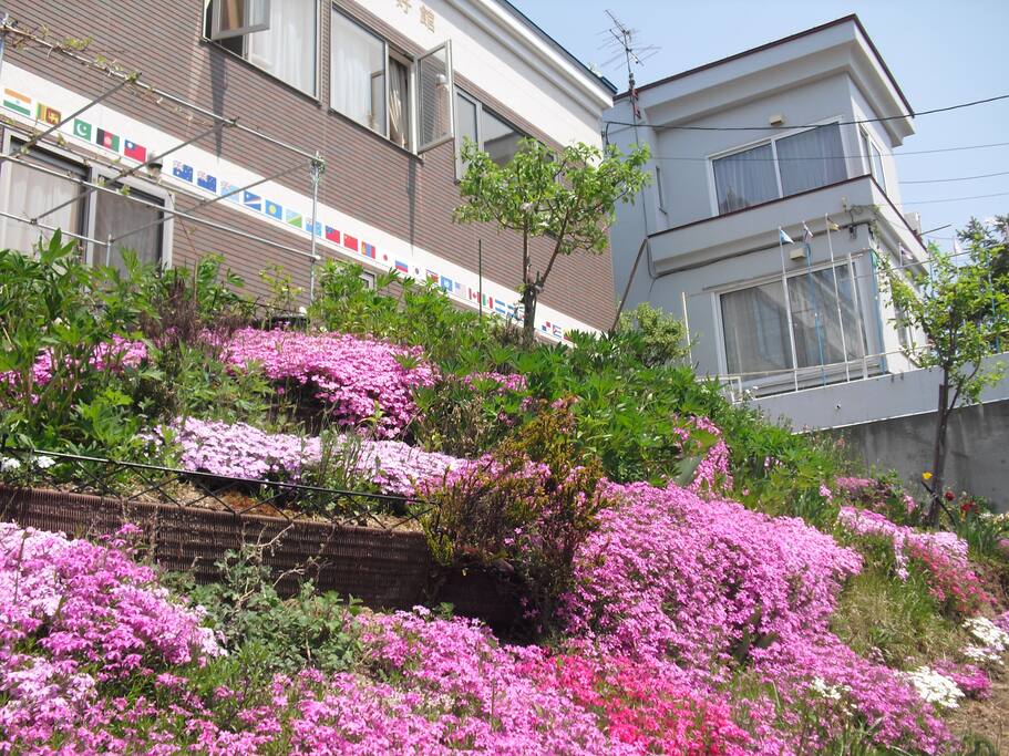 In May this year I took a photo of my HOUSE (right side) and a NEW HOUSE (left), and am myself surprised at its beauty. The room 2F2 is in the white HOUSE (photo).