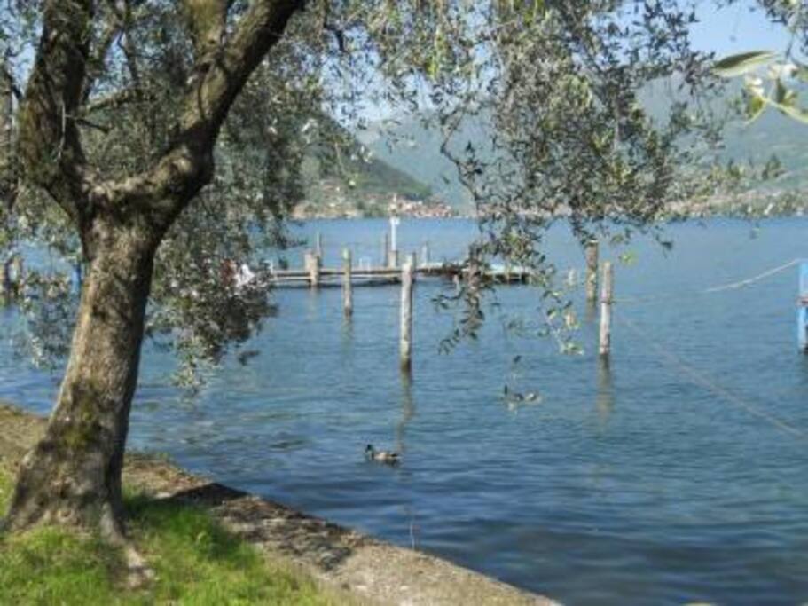 Accesso al lago