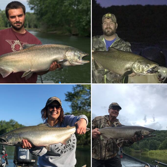Great king salmon fishing starting late September through October. Right off the dock awaits days of fun battling these monsters!