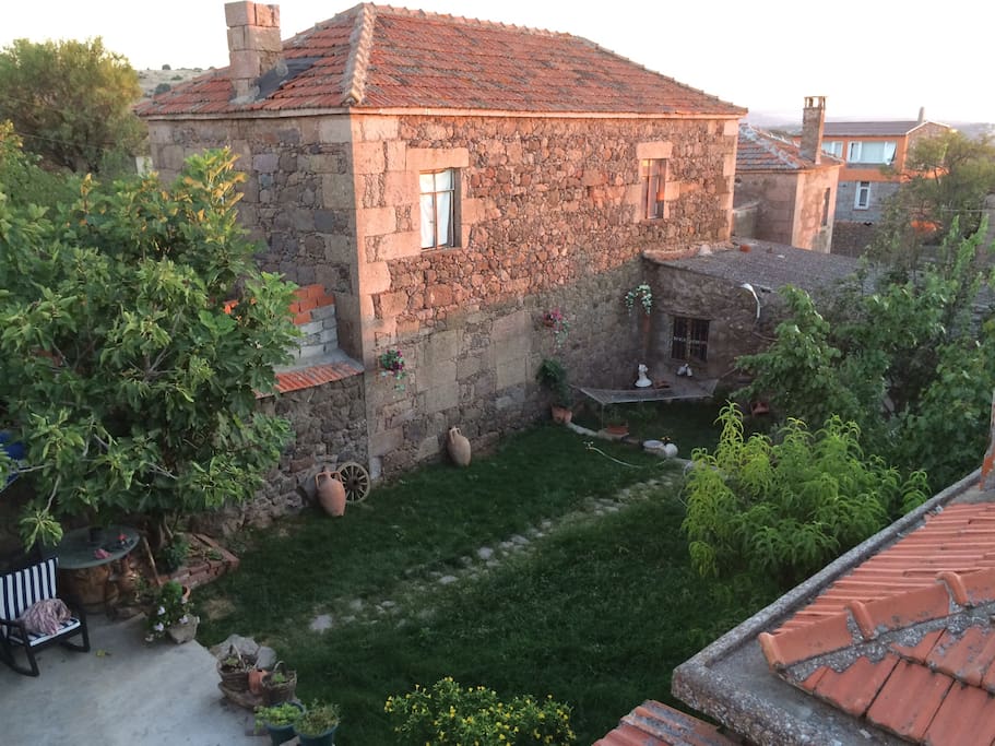 Our garden