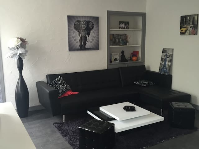 Bel appartement à Roanne.