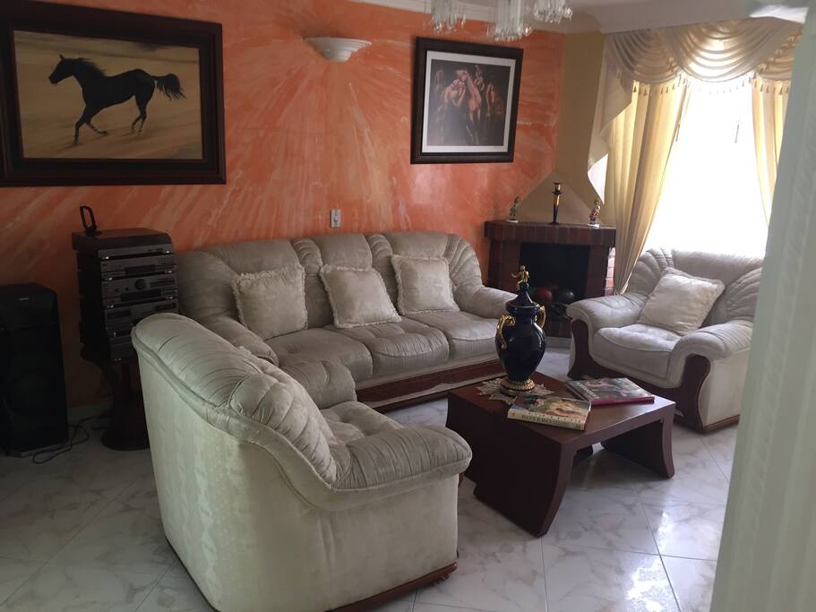 Sala con chimenea y buen equipo de sonido.