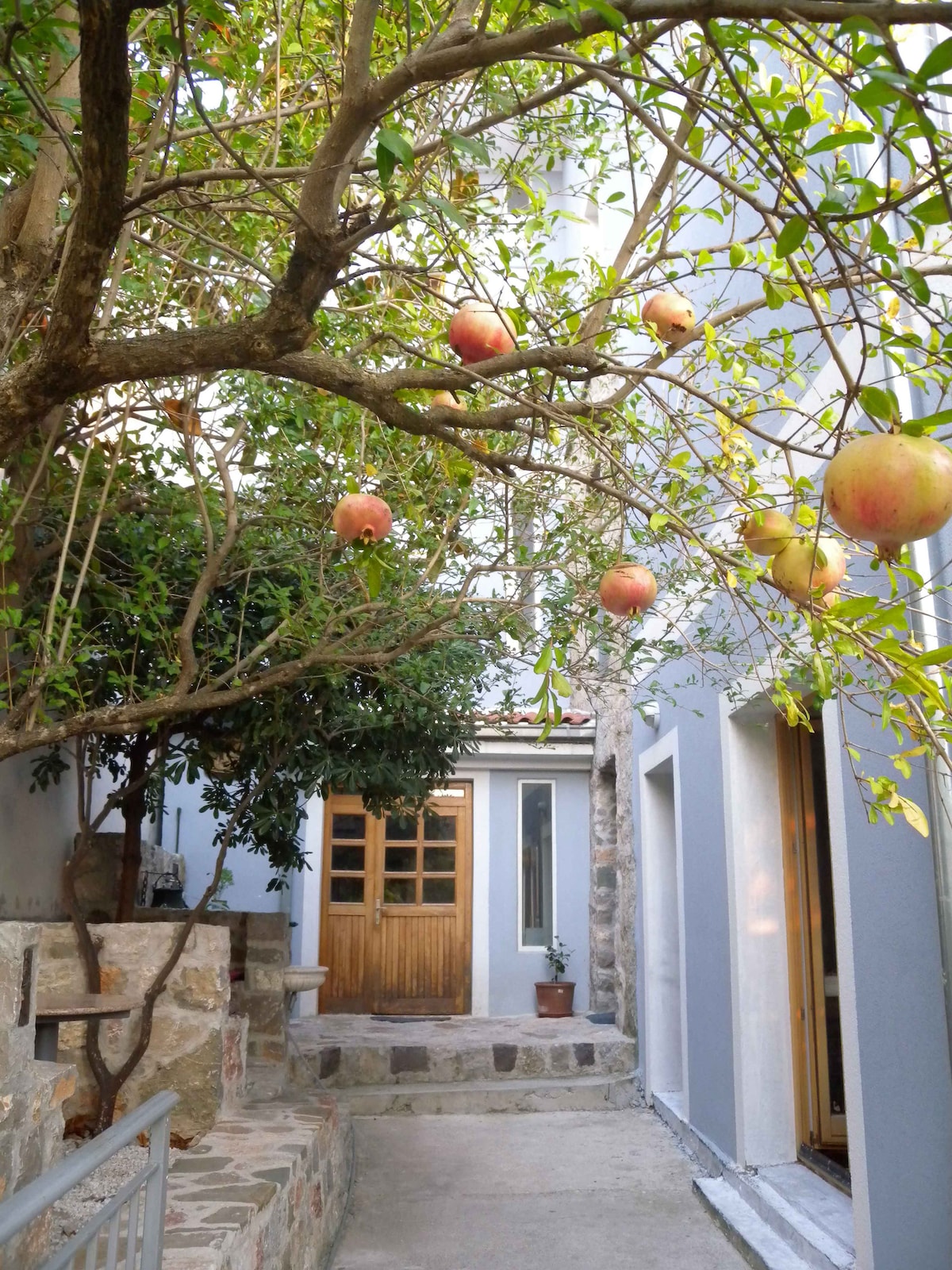 A pathway leads through a serene courtyard, flanked by natural stone walls. A fruit tree with ripe pomegranates hangs above, providing shade, while a wooden door is visible at the end of the path. Light filters softly through the greenery.