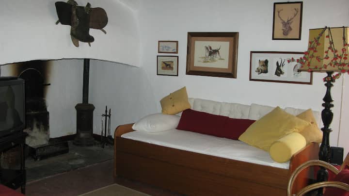 Sala de estar e salamandra