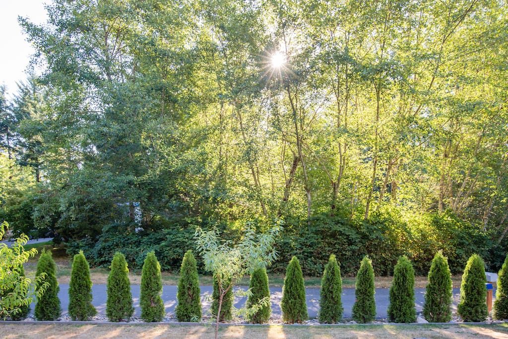 Beautiful scenery and privacy all in a quiet neighborhood
