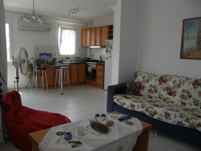 Bright and Clean Apartment in Downtown