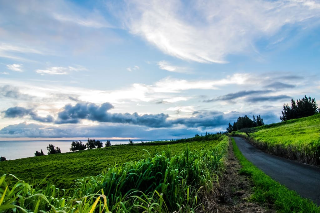 Jo's Hamakua Seaview Getaway Houses for Rent in Paauilo, Hawaii