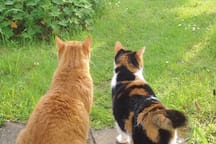 Mmmmm .... looks like more visitors then. AirBnB anyone?