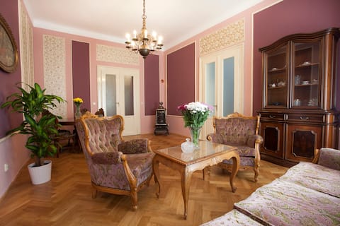 Prague historical center luxury apt