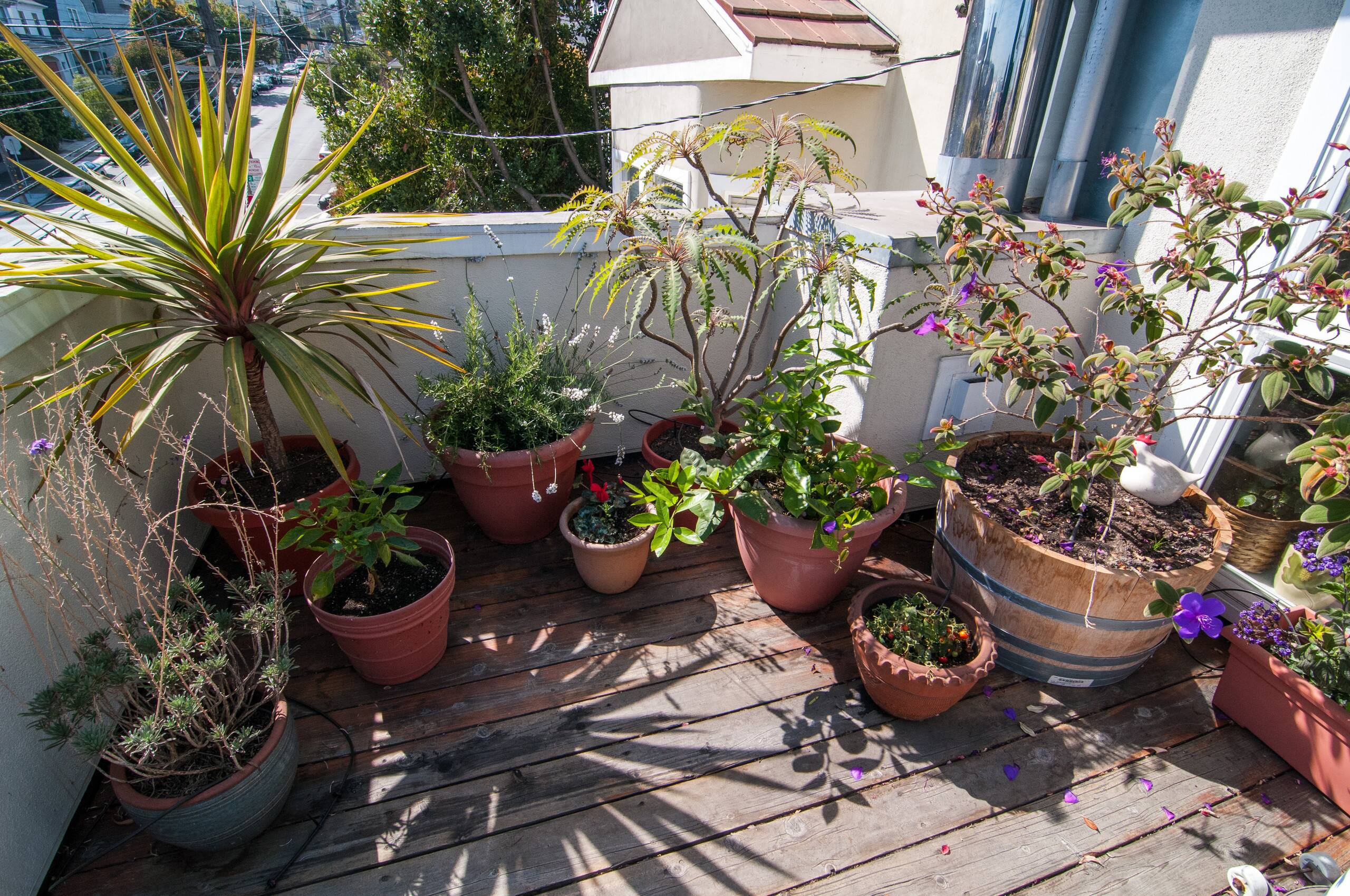 Condo in San Francisco · ★4.89 · 2 bedrooms · 2 beds · 2 baths - Image 30