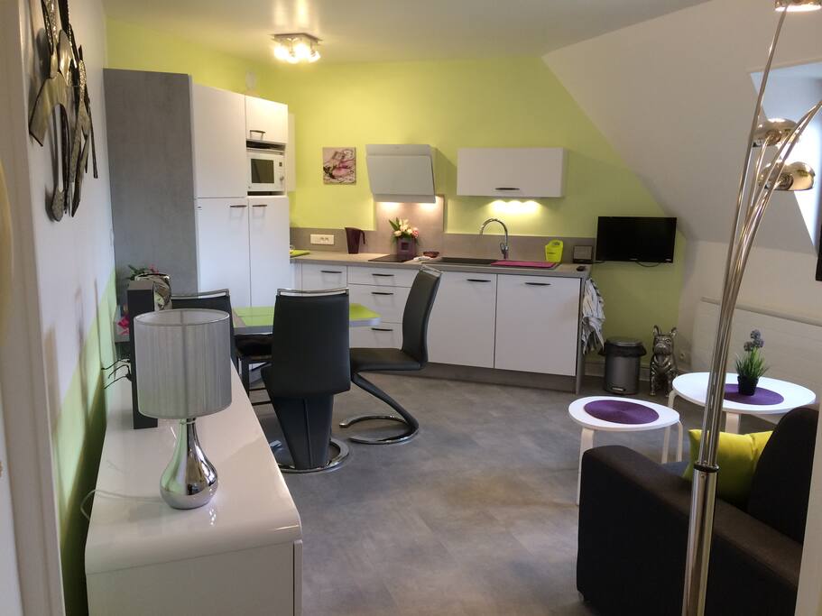 Cuisine équipée avec frigidaire spacieux, freezer, hotte design, plaque vitro, lave-vaisselle, four mixte micro onde/traditionnel
