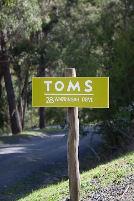 Welcome to Toms: