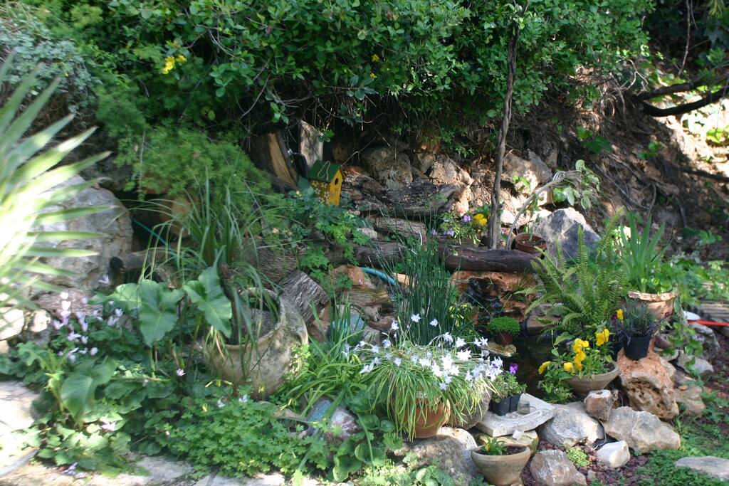 a small fish pond
