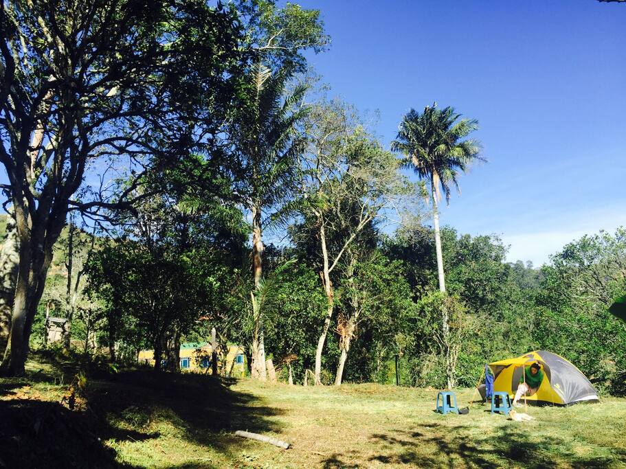 Zona de camping amplia. Con un capacidad total de entre 15 y 20 carpas.