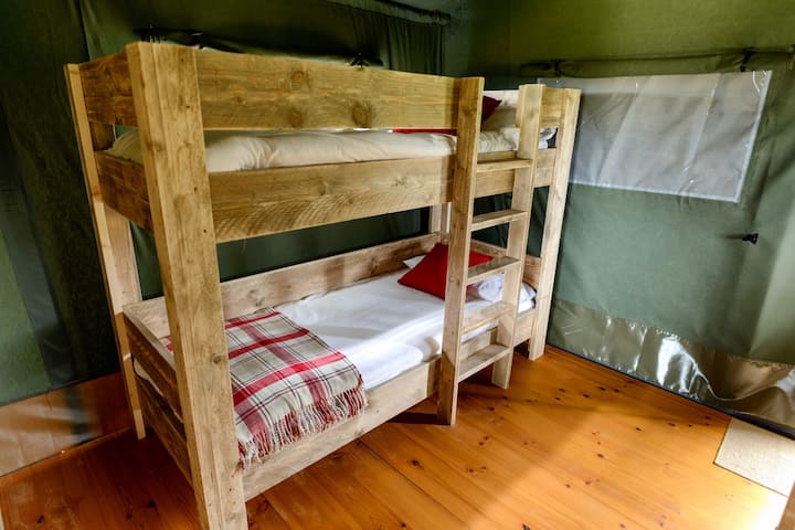 Letti a castello, sistemati in una stanza con spazio e scaffali.