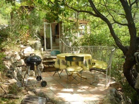 Cicada Lodge in "Cantagal" for 4 pers.