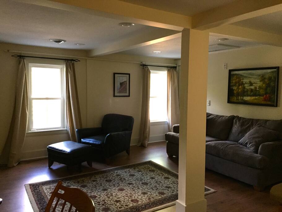 Living room includes pull-out sofa for additional sleep space.