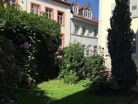 Luxury apartment in historic center