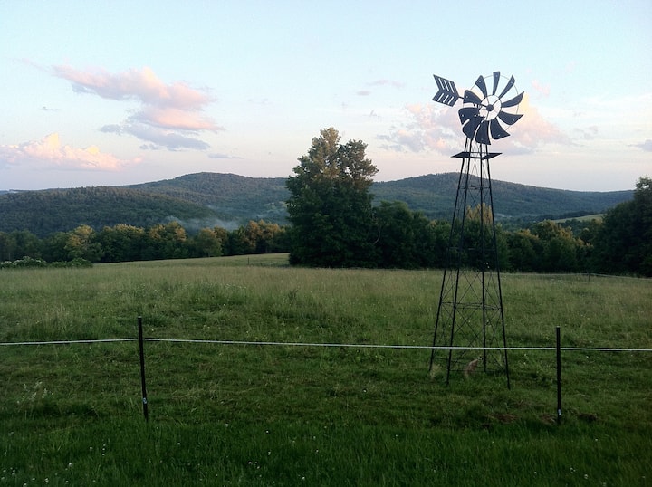 Secluded 160 Acre mountain top home Houses for Rent in Susquehanna