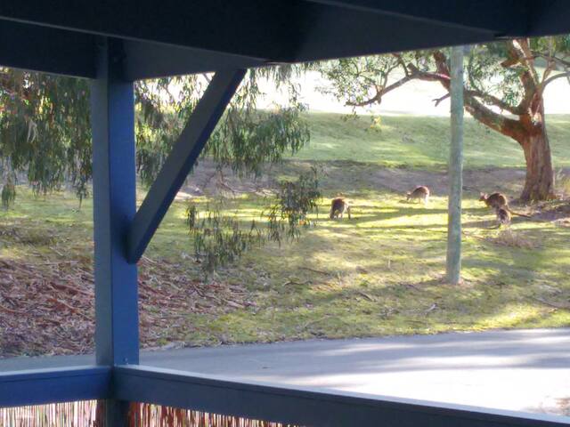 Lorne Holiday House, has Foxtel with Sport. gallery image 5