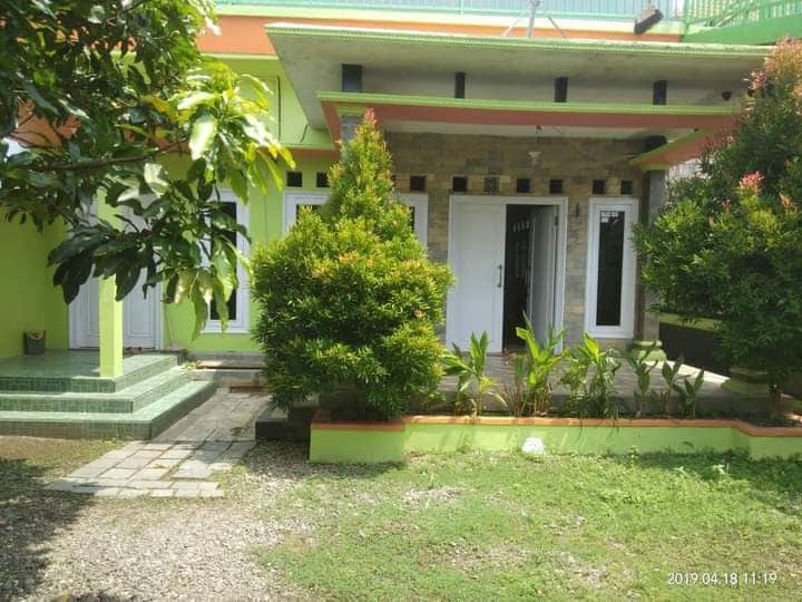 A welcoming exterior view showcases a building with vibrant green walls and stone accents. Lush greenery and small ornamental plants line the pathway leading to the entrance, which is flanked by two doors. A well-kept garden area features light gravel and a green tiled step entrance.