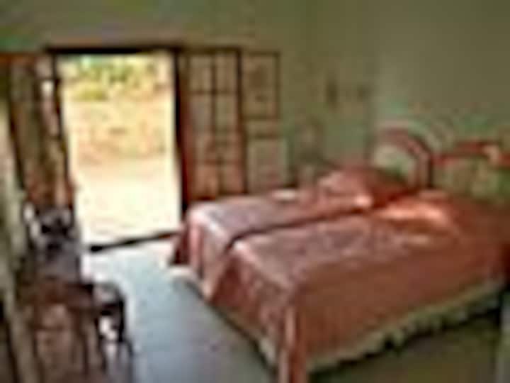 Chambre à deux lits avec accès à la terrasse 