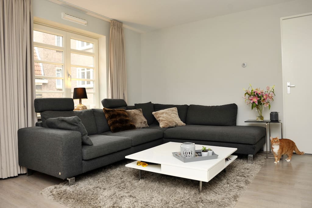 Sunny livingroom