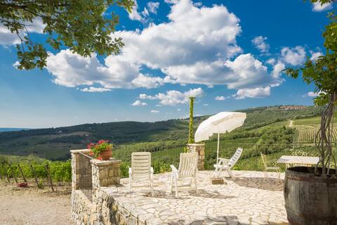 Cottage wonderview on Chianti hills