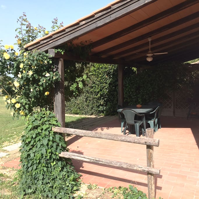Side see of the Porch, the rose is a Golden Gate