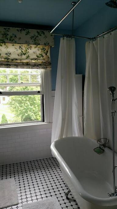 Private guest bathroom