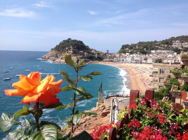 LUXURY & EXCLUSIVE DUPLEX IN TOSSA gallery image 2