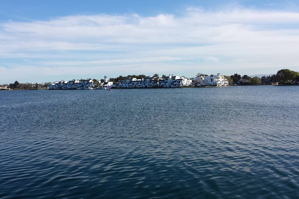 Central lake, foster city
