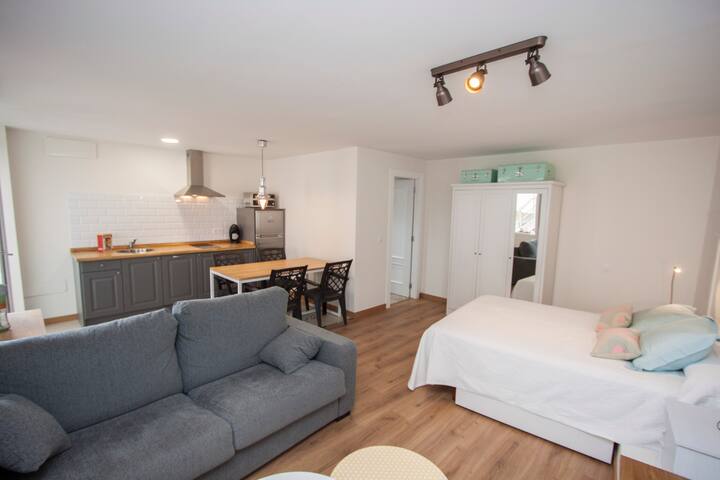 Exclusive Nordic / Gray style apartment
