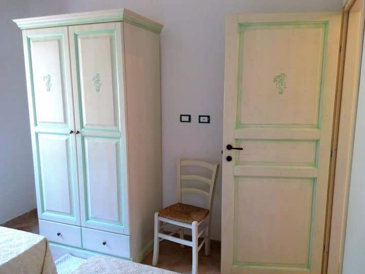 Camera cavalluccio marino