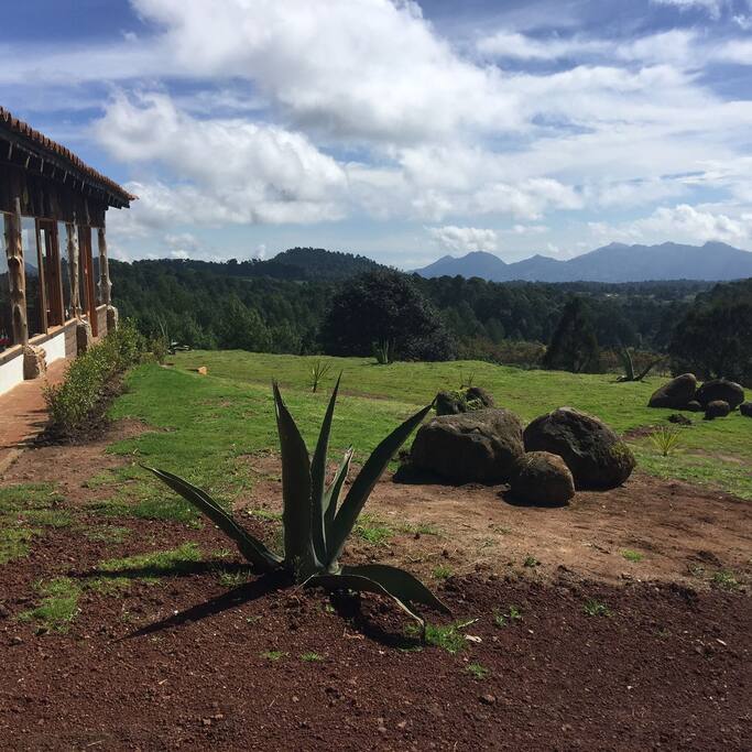 VISTA JARDÍN FRONTAL