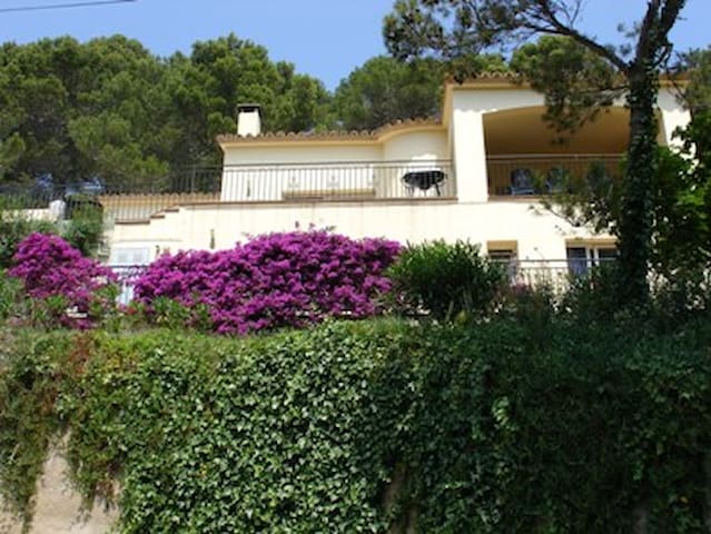 4 bedrooms and 4 Bathrooms. Walk to Beach.