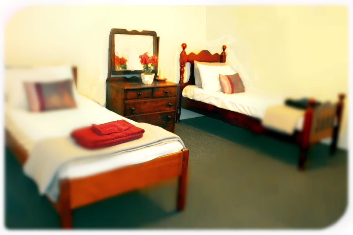 A spacious twin bedroom.