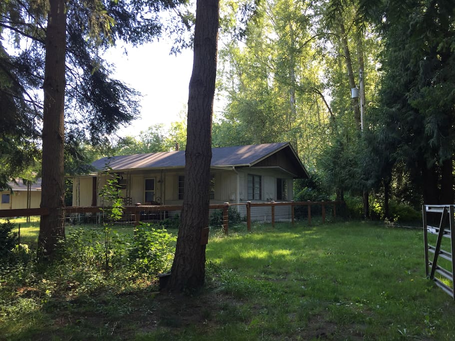 Your entire cabin in the woods is a short walk down the trail to the Nisqually River.