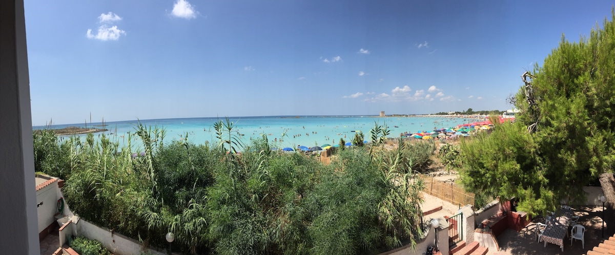 A panoramic view of a vibrant beach is depicted, with soft waves lapping at the shore. Colorful beach umbrellas and sunbathers are visible on the sandy beach, while lush greenery frames the scene. The clear blue sky is dotted with a few fluffy clouds.