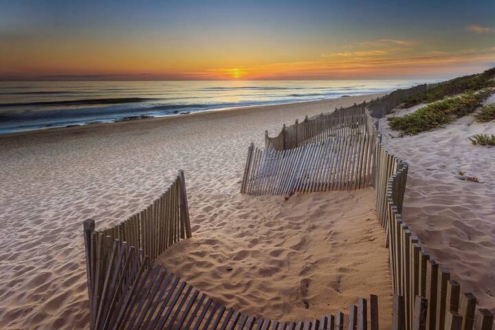 Casa do Plátano gallery image 4