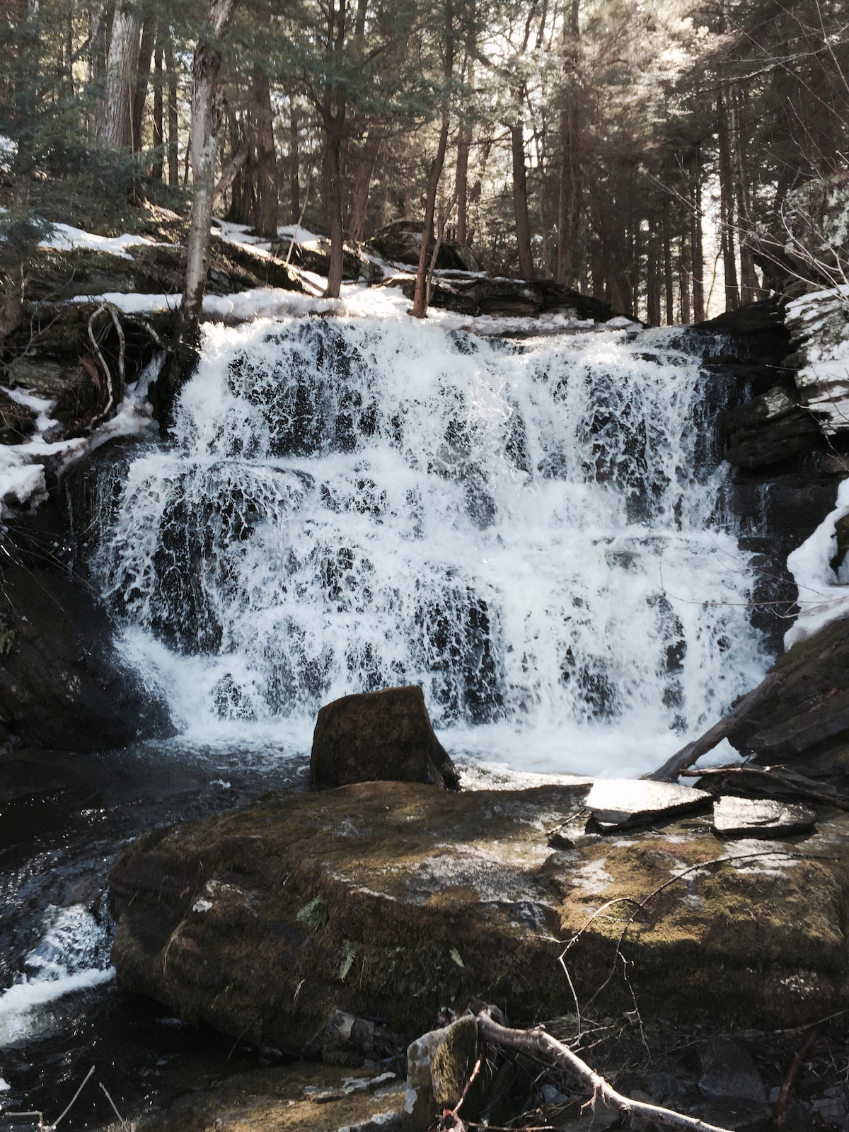 A cascading waterfall flows over rocky terrain, surrounded by dense trees. Sunlight filters through the foliage, illuminating the water's movement and creating a serene natural scene. Large boulders are present at the water's edge, enhancing the sense of tranquility.