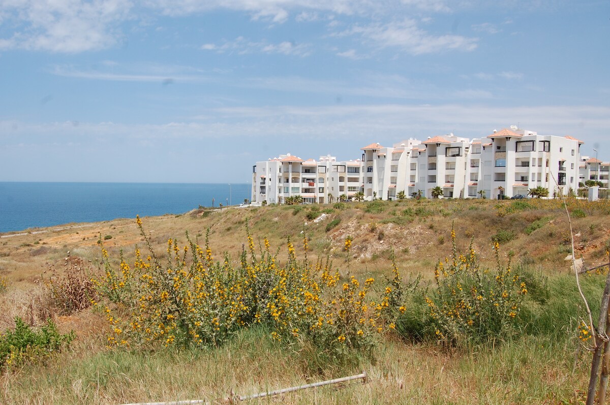 Coastal views are captured, showing a stretch of golden land adorned with wildflowers. In the background, a modern apartment complex sits along the shoreline, overlooking the tranquil blue sea under a clear sky.