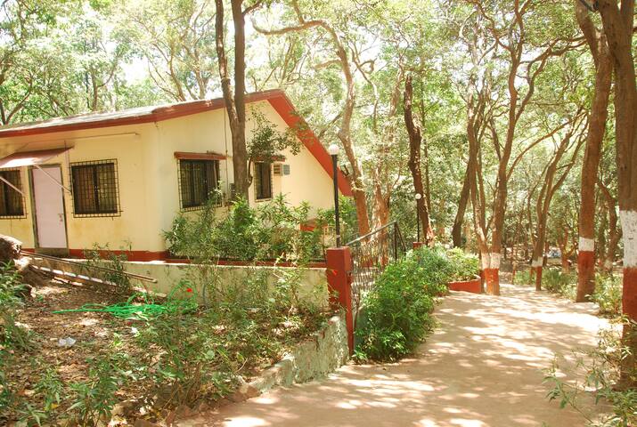 Panorama Bungalow(Individual Rooms)