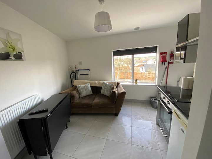 Newly Renovated 1 Bedroom Apartment First Floor - Letterkenny