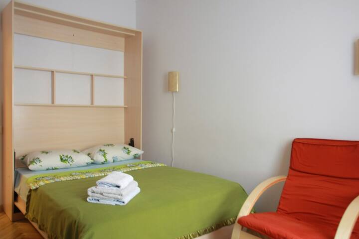 Уютная квартира в центре Киева (Золотые ворота)