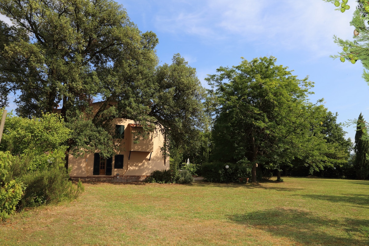 The exterior of the house is visible, surrounded by a lush green garden featuring mature trees and well-maintained grass. Natural light fills the scene, highlighting the warm tones of the building's facade. A sense of tranquility is conveyed by the expansive outdoor area.