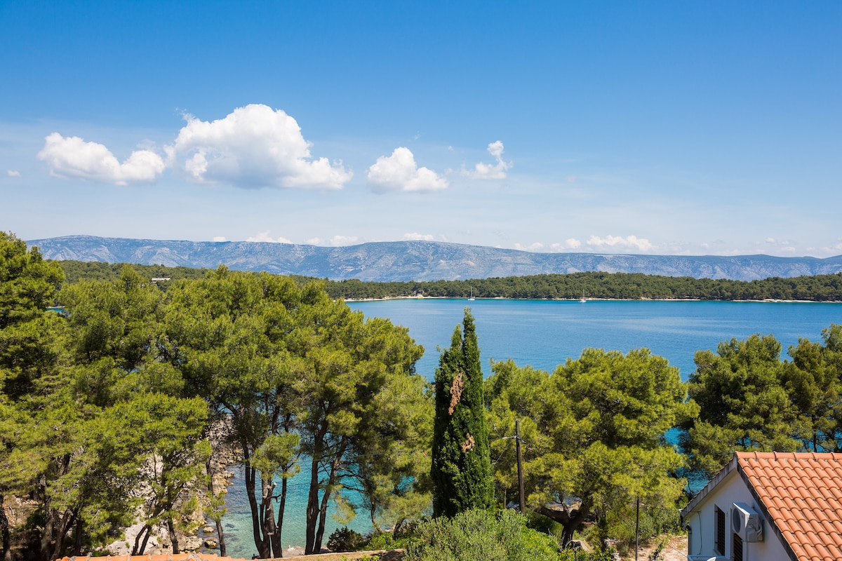 A serene coastal view features a clear blue sea bordered by lush green trees. The horizon is lined with gentle mountains under a clear sky, enhancing the tranquil surroundings of the area.