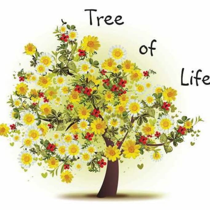 Tree of Life Holistics - our logo - www.treeoflifeholistics.com