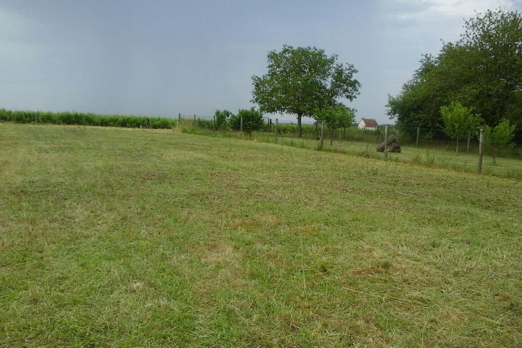 Notre jardin