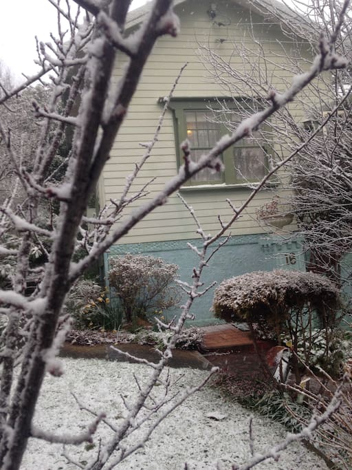 Snow cover in Winter